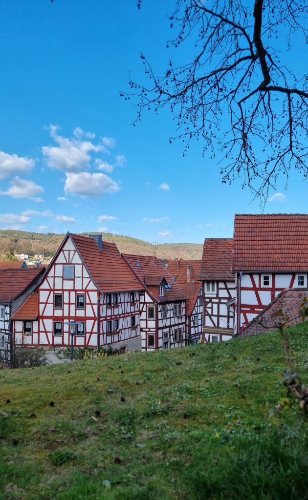 WhatsApp Image 2026-04-07 at 12.28.54 (5)