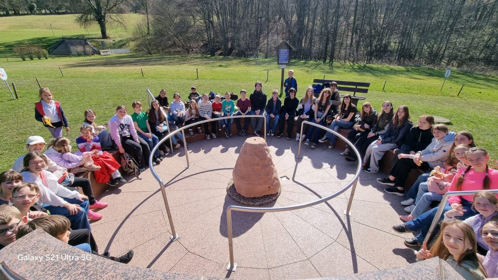 WhatsApp Image 2026-04-07 at 12.28.55 (4)