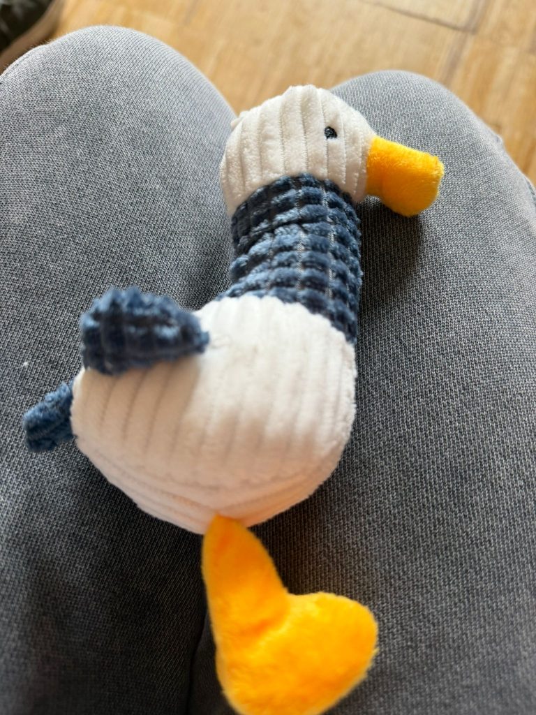 WhatsApp Image 2026-04-23 at 15.28.02 (9)